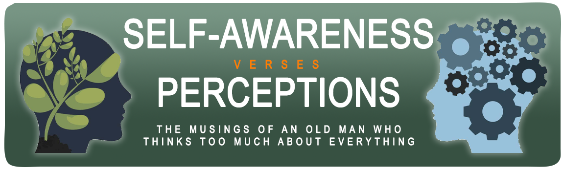 Self-Awareness vs Perceptions
